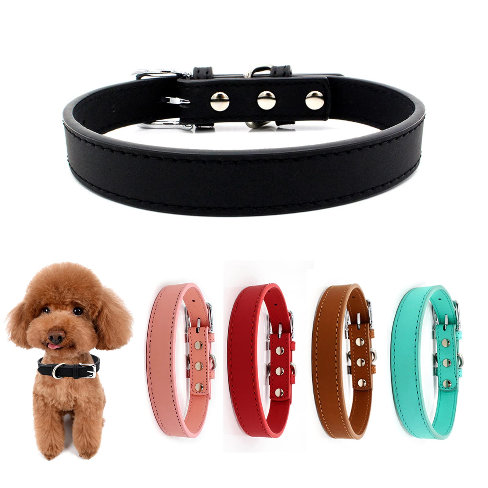 How Much Zinc Is Safe For Dogs