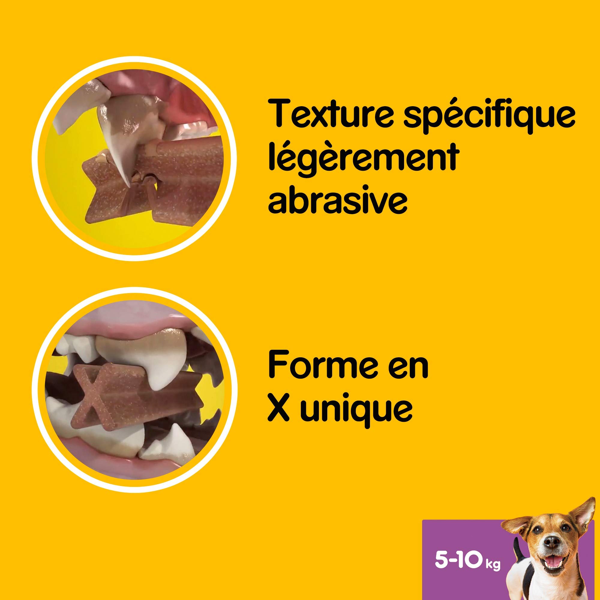 Pedigree Dentastix - Friandises pour petit chien, 56 bâtonnets à mâcher pour l'hygiène bucco-dentaire (1 boîte de 880 g / Total 56 Sticks)