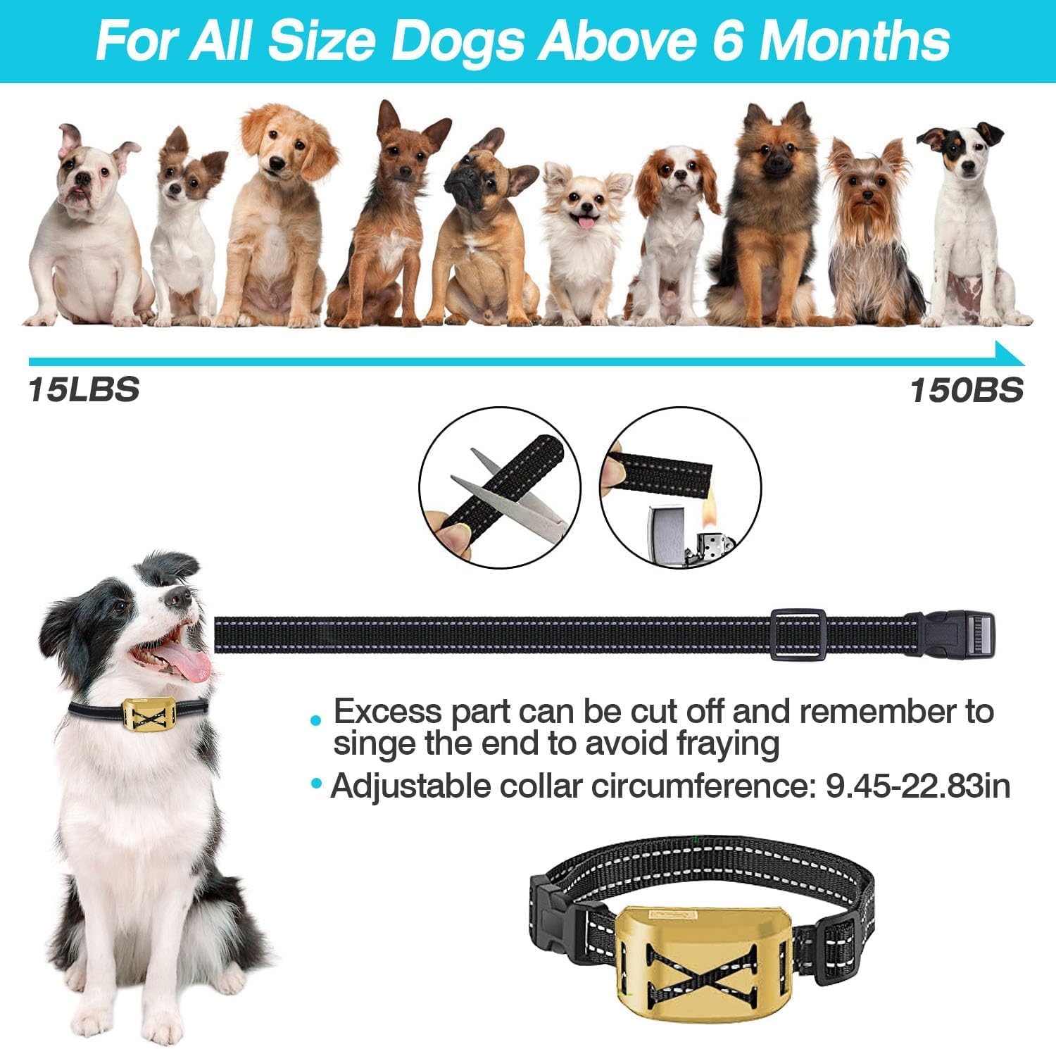 Wireless Dog Fence, 2-in-1 Electric Dog Fence System for 2 Dogs with Training Collar & Remote, IP65 Waterproof, 2024 Safety Pets Containment System for All Dogs, Cover Up to 8 Acre(20-850ft)