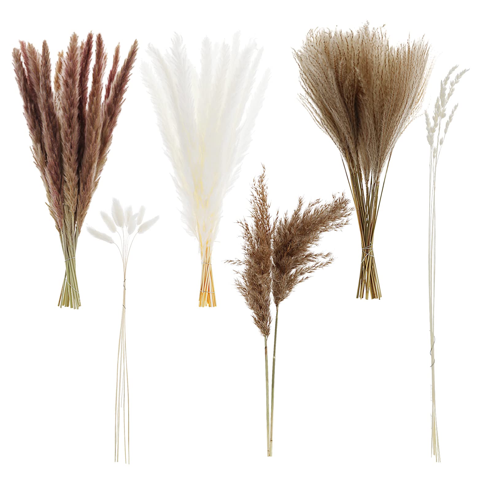 SANSHAN Pampas Grass Decor, 92PCS Natural Pampas Grass Decor, Small