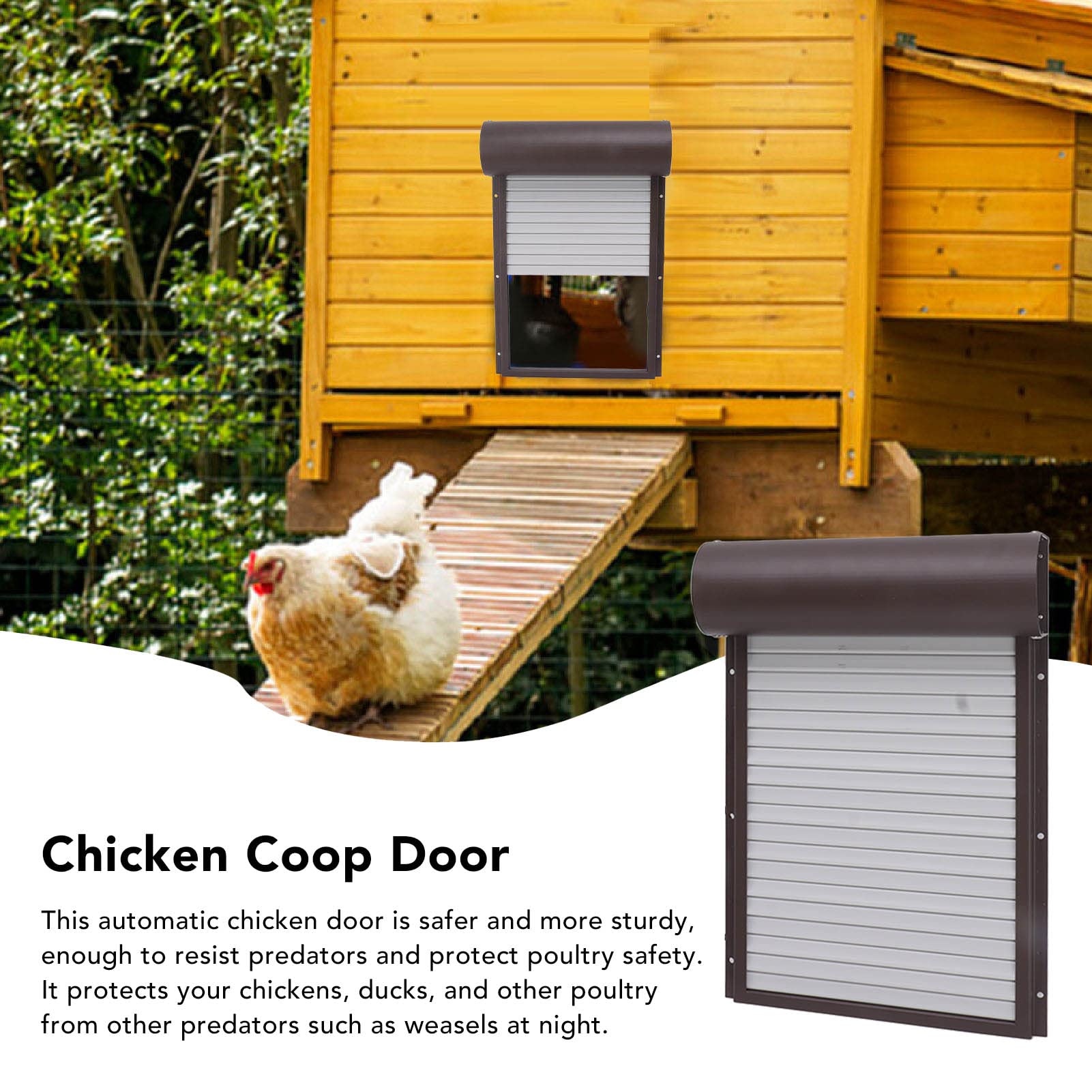 Puerta AUTOMÁTICA para GALLINERO con ENERGÍA Solar, Segura, Duradera, FÁCIL DE Usar, CÁMARA, DETECCIÓN REMOTA, Ideal para Aves DE Corral (Marrón)