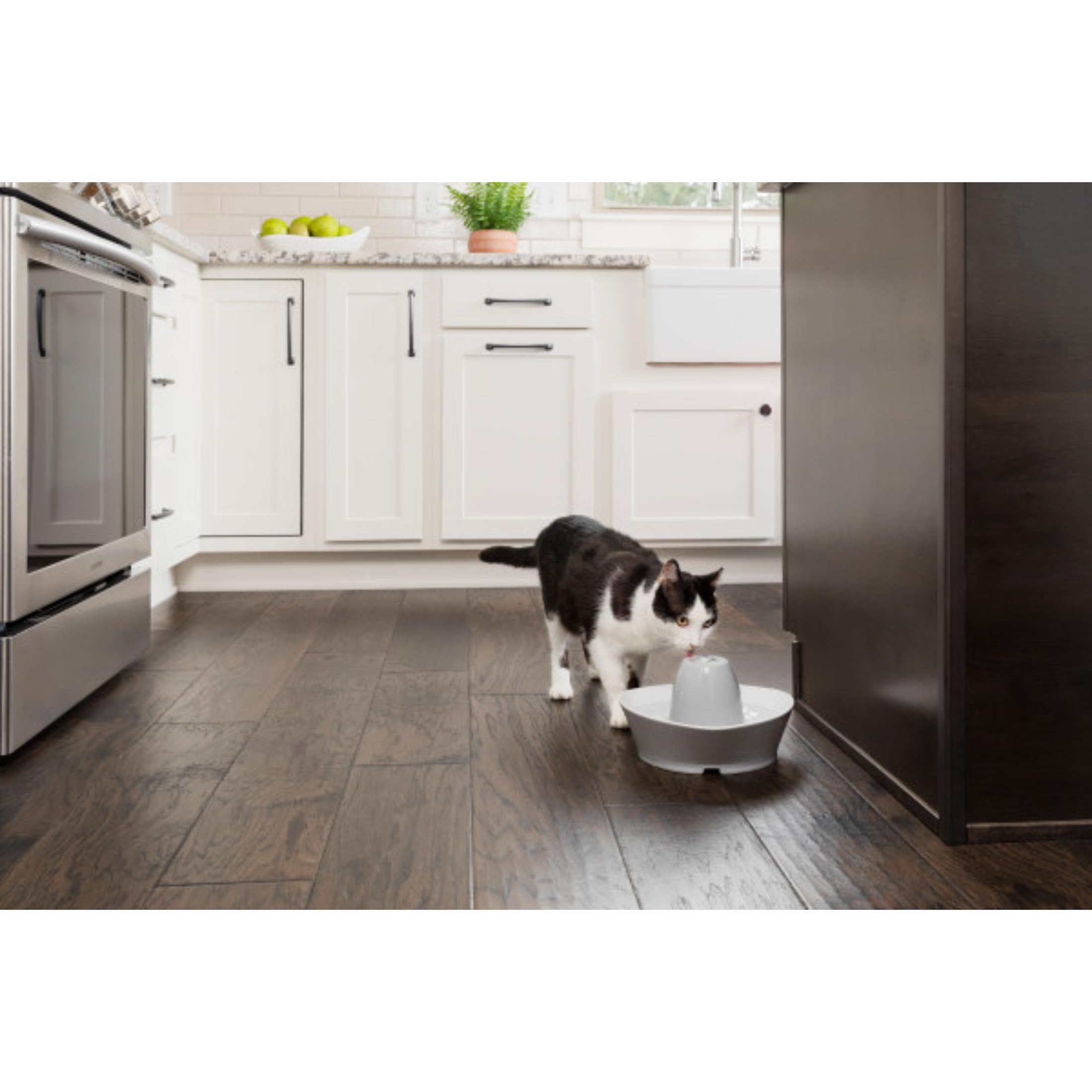 PetSafe Ceramiczna fontanna do picia Streamside, odpowiednia dla kotów i małych psów, cicha praca, pojemność 1,8 l
