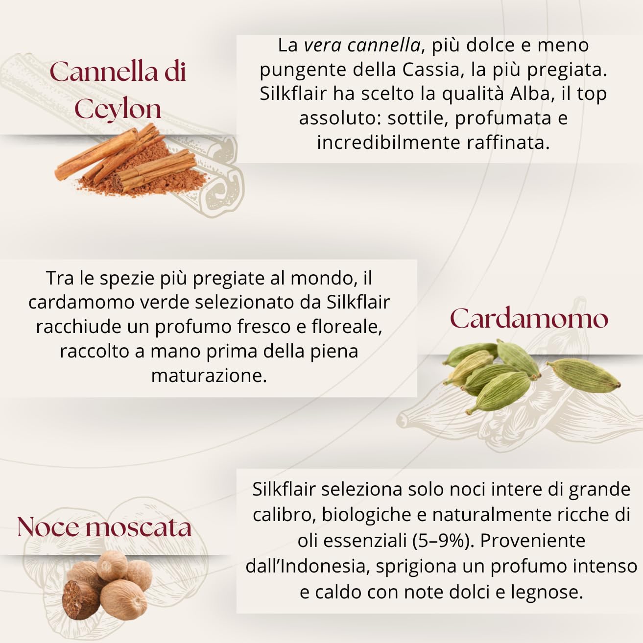 Set regalo spezie dal mondo – Silkflair "1997 La magia delle spezie” | Special Edition gourmet con 7 varietà pregiate | Idea regalo originale per amanti della cucina e del gusto