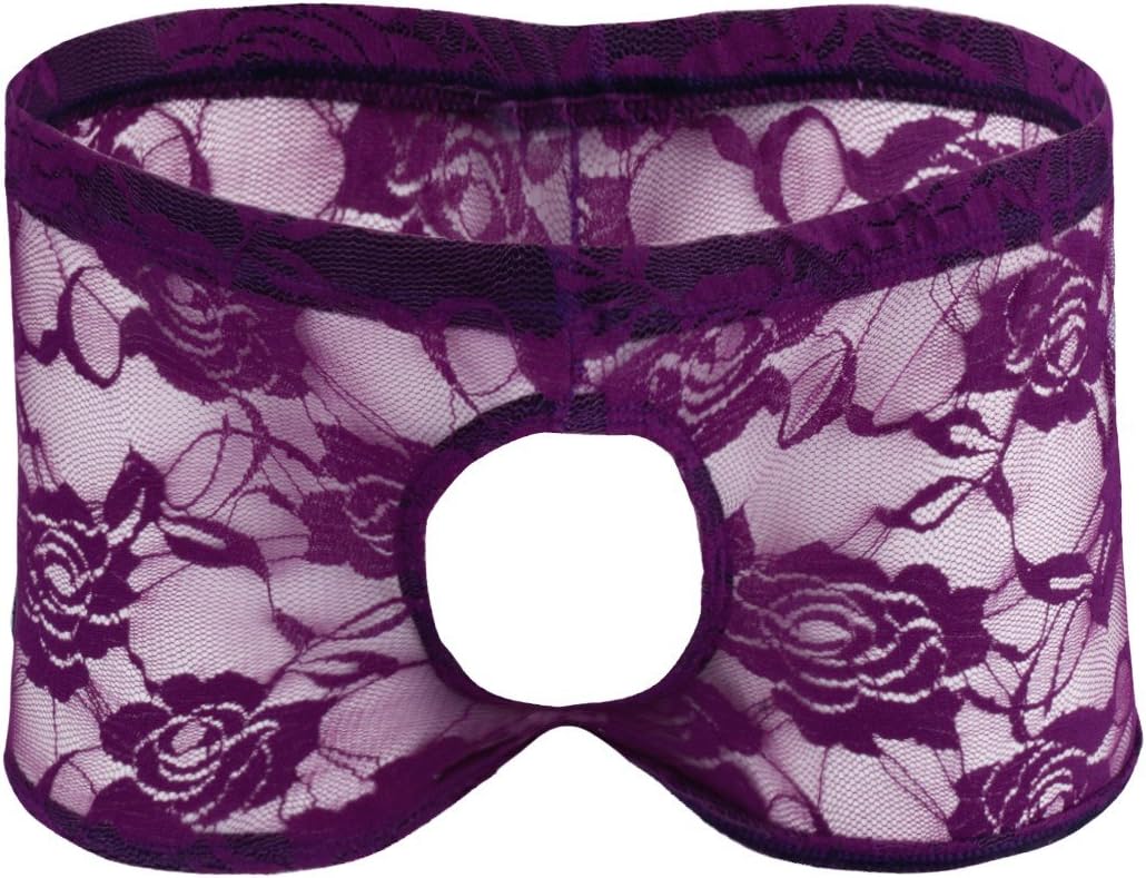 iiniimMen Sheer Lace Boxer Shorts Open Front Back Underwear Lingerie