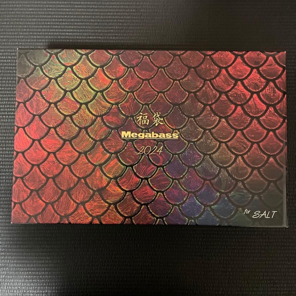 メガバス 2024福袋 SALT ONLINE限定 メガバス2024福袋SALT ⭐️商品