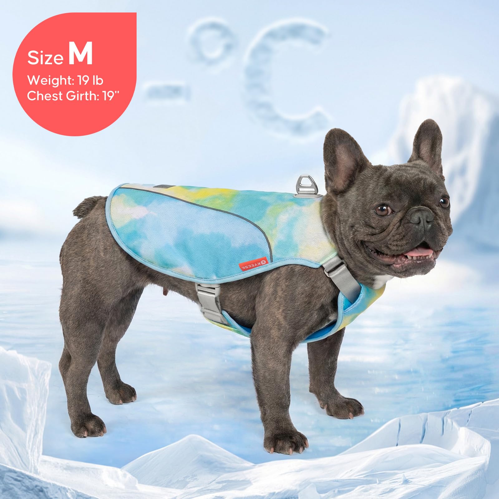 KYEESE Gilet rafraîchissant léger pour chien avec bretelles réglables - Chemise rafraîchissante en maille avec anneau en D - Protection UV et bande réfléchissante - T-shirt pour animal domestique
