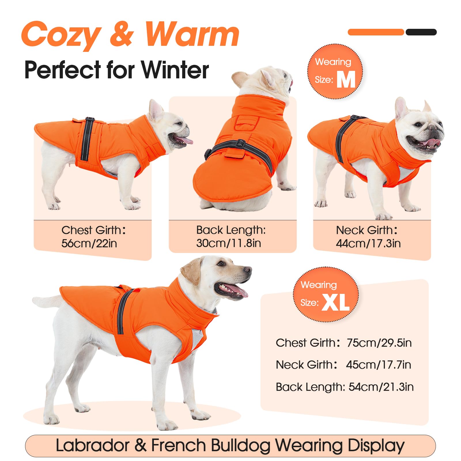 Abrigos para clima frío para perros