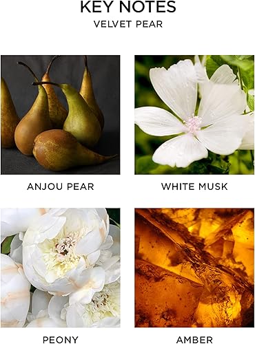 Miniatura 3 de Difusor de fragancias Nest de varillas