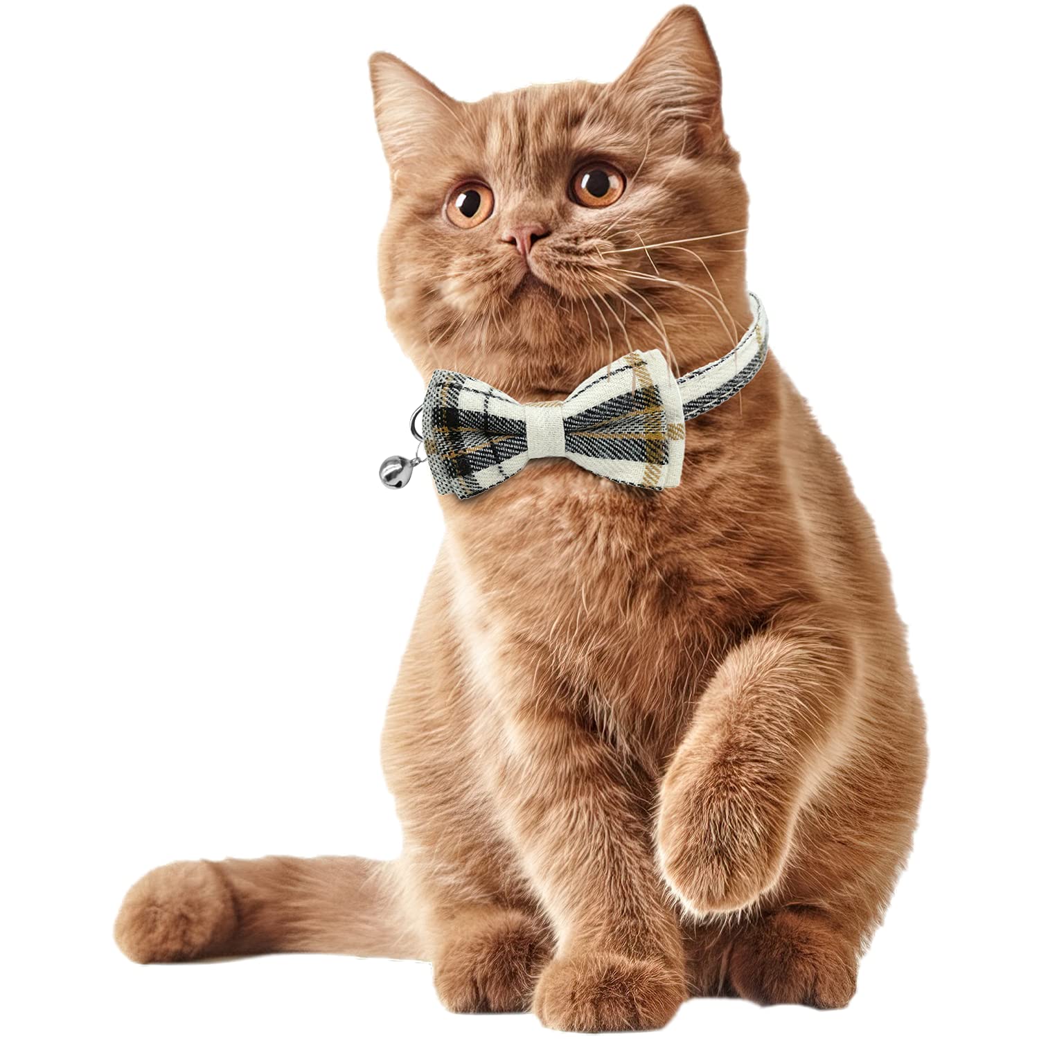 Katzenhalsband-Set, Katzenhalsband, mit niedlicher Fliege und Glöckchen, verstellbar von 19 - 27 cm, weich und bequem für Kätzchen und einige Welpen (beige + braun)