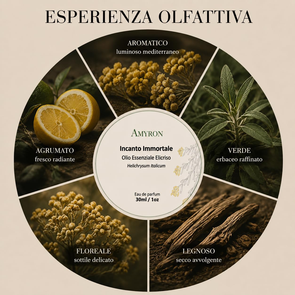 Profumo Botanico Incanto immortale 30ml AMYRON, Creato Con Ingredienti Al 100% Naturali A Base di Olio Essenziale Elicriso/Fragranza Artigianale Made In Italy.