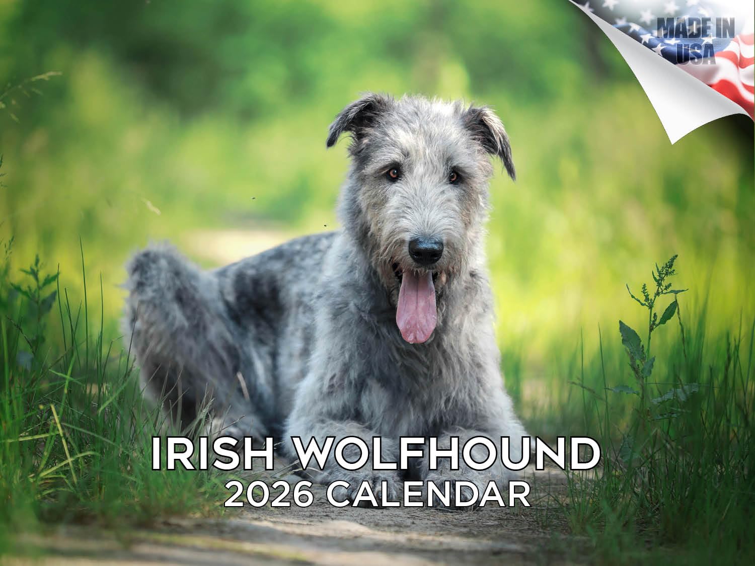 Calendario de perro lobo irlandés 2024 2025, calendario mensual de pared de raza de perro, abierto de 12 x 18 pulgadas, papel grueso que no se corre, regalo, planificador académico para profesores,