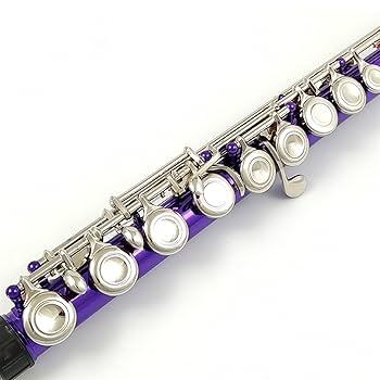 Amazon | フルート フルート 16 クローズ穴 C キー楽器白銅
