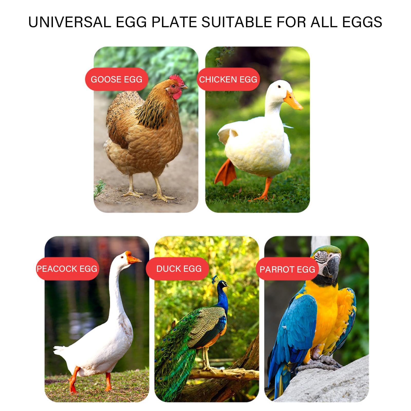 Incubadora Industrial De 400 Huevos, Incubadoras para Huevos Giros Automáticos, Control De Temperatura Y Humedad, Criadero De Aves De Corral Grandes para Pollos, Patos, Gansos, Codornices, Ideales