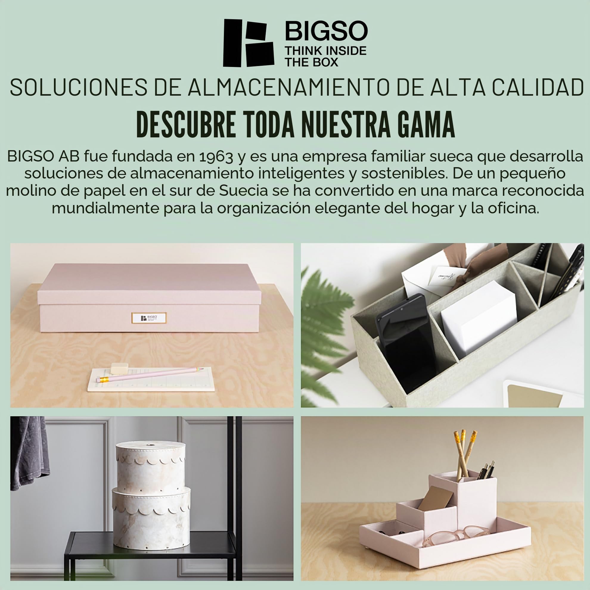 BIGSO JOHAN Caja para archivar con tapa, elegante caja de archivo, incluye 8 carpetas colgantes, caja colgante de tablero de fibra y papel con elegante aspecto de lino, color verde menta