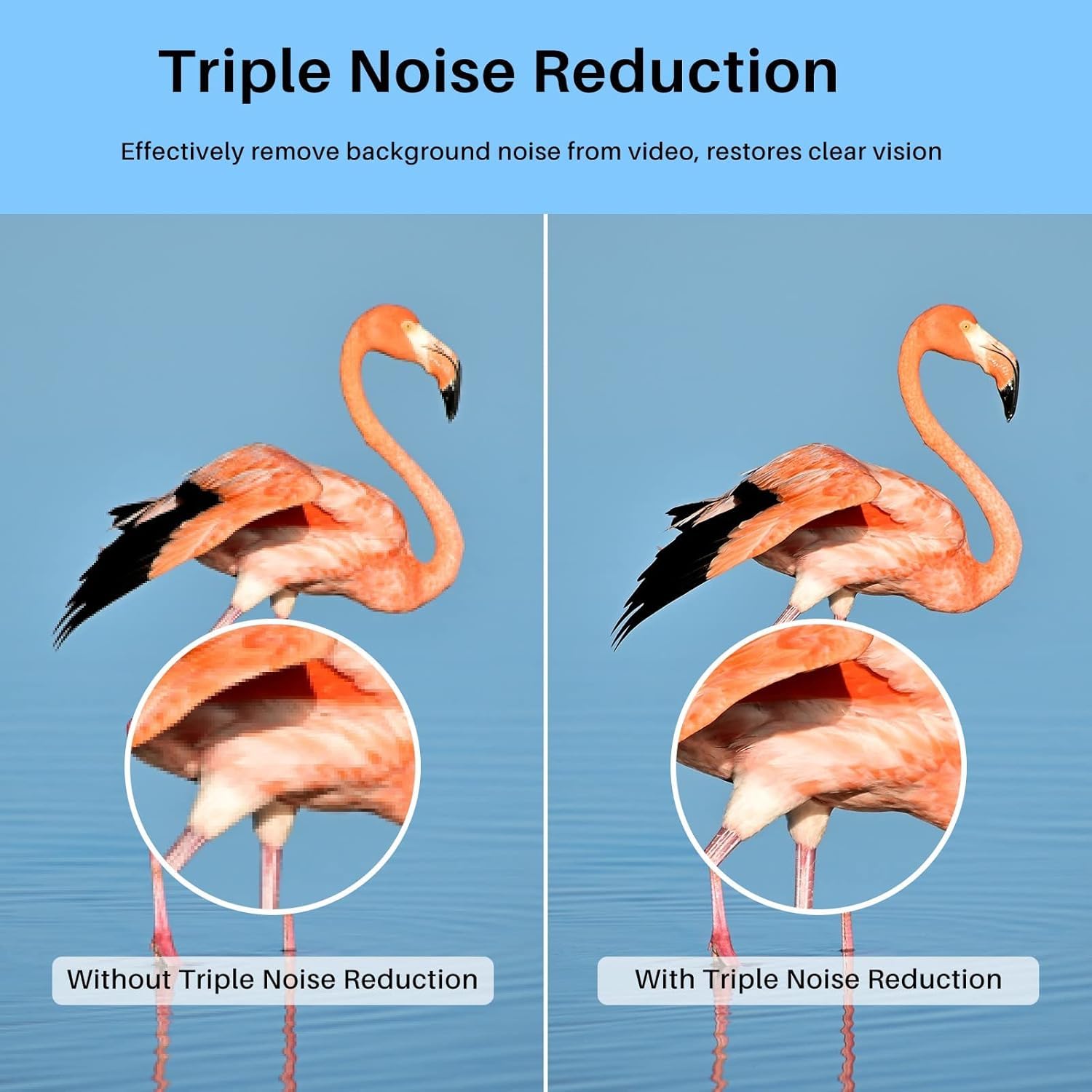 Comparison of image quality without and with Triple Noise Reduction
