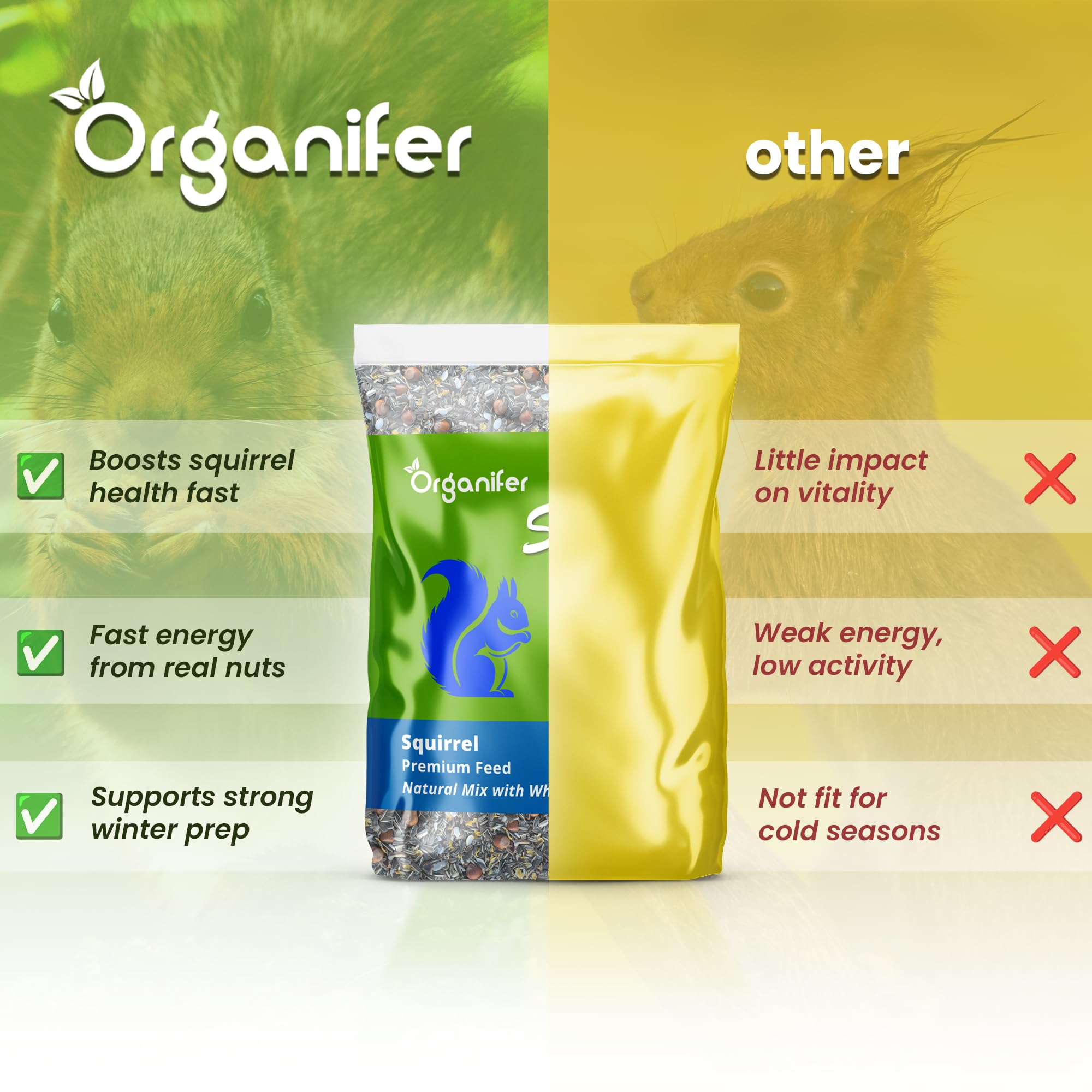 Mangime Per Scoiattoli - Mix Con Noci Intere (5 Kg) - Mangime Per Scoiattoli, Ricco Di Proteine, Grassi E Fibre - Adatto Per Mangiatoie Per Uccelli - Senza Pesticidi - Ogni Stagione - Organifer