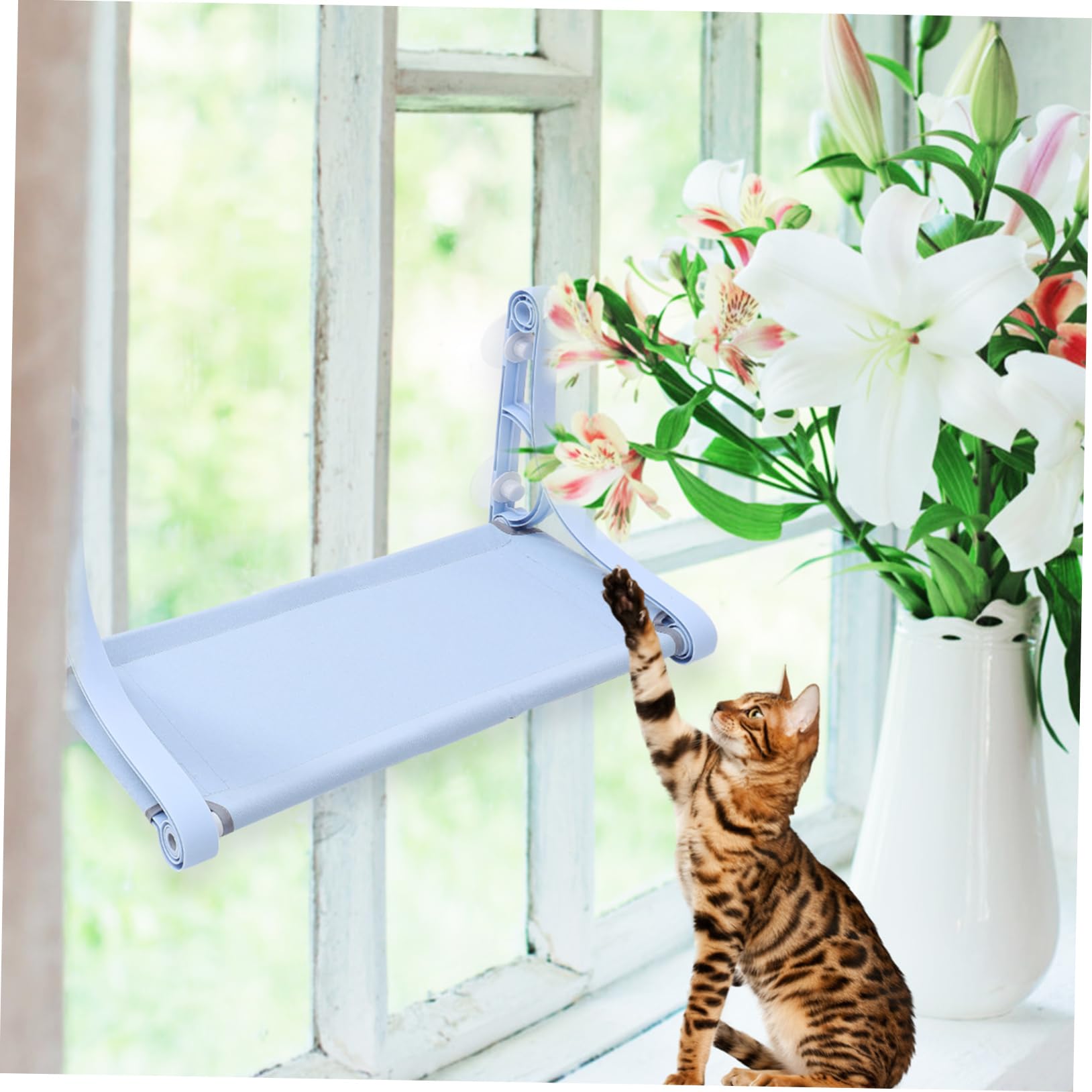 Kisangel Amaca Finestra per Gatti Blu Ventosa, Lettino Sospeso | Pp Resina e Canvas, per Piccoli Animali Domestici, Uso in Gabbia e Gioco