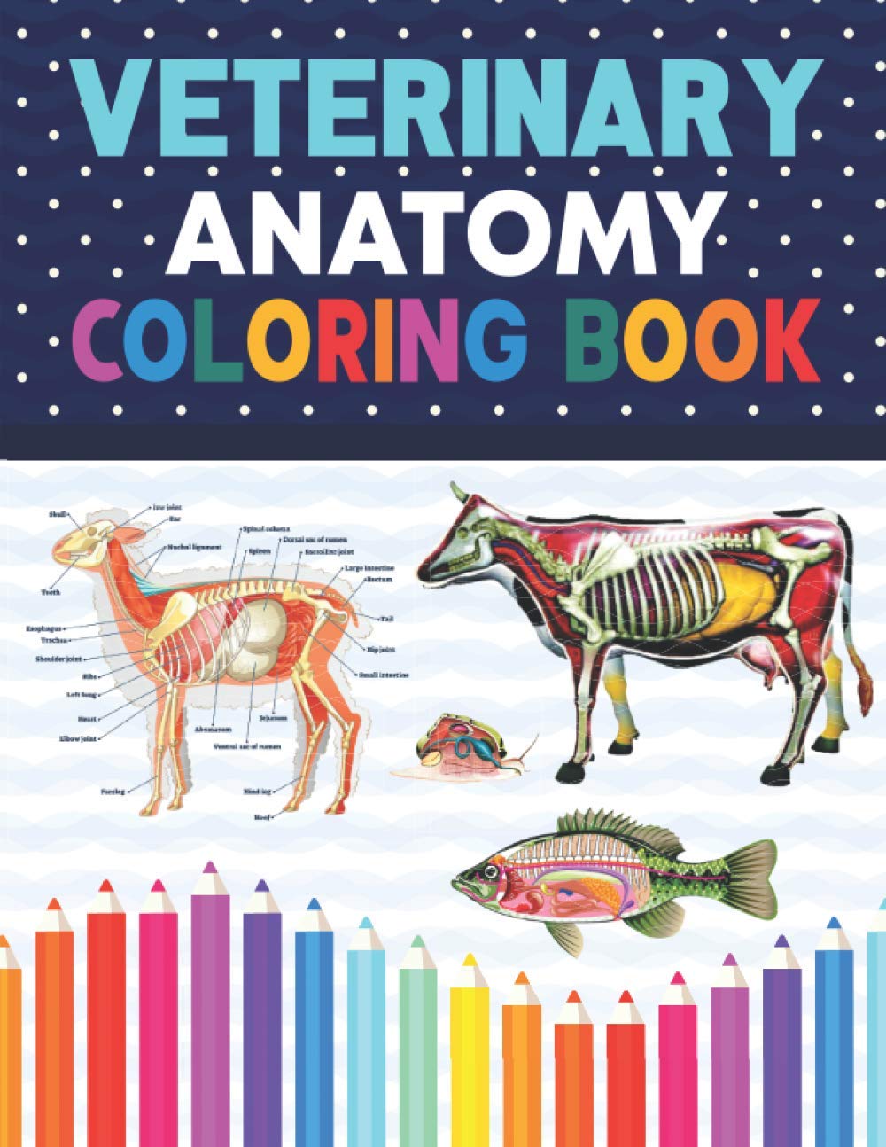 Veterinary Anatomy Coloring Book: Animal Anatomy and Physiology Coloring Book.Veterinary Anatomy & Physiology Coloring book For Children Kids Boys ... Veterinary & Zoology Anatomy Coloring Book.