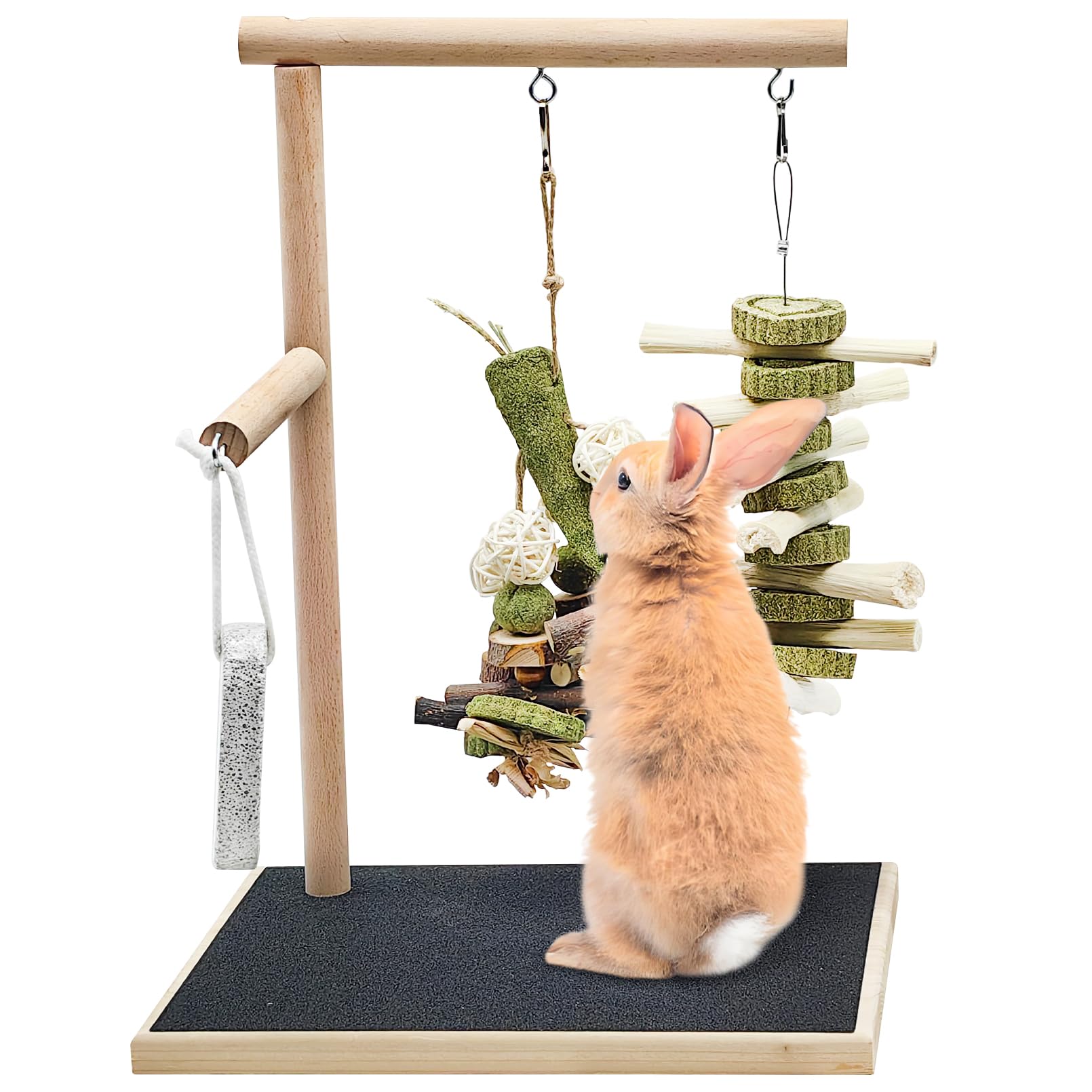 Jouets pour lapins ennuyeux à installer dans l'enclos de jeu