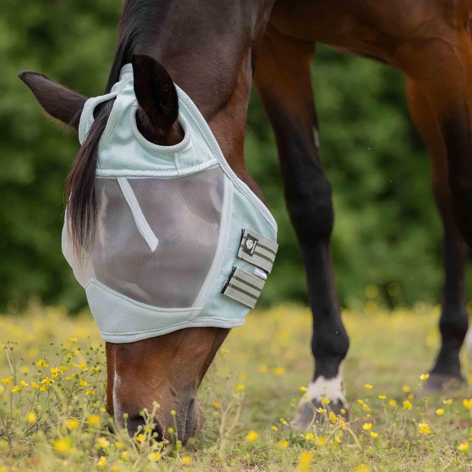 Equinavia Algard Soft Mesh Earless Fly Mask - Misty Jade - Horse