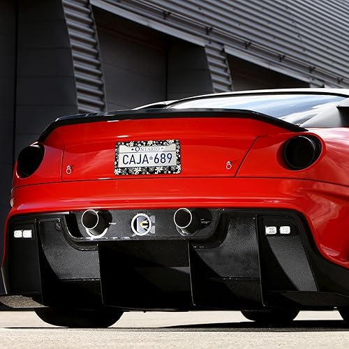 Miniatura 6 de Marcos para placa de matrícula de margaritas, paquete de 2 marcos de matrícula florales de acero inoxidable negro, decoración de placa delantera y