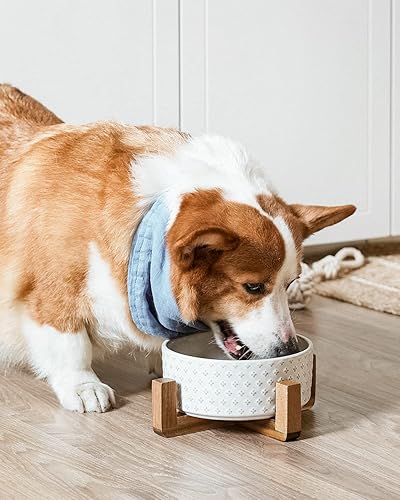 Miniatura 2 de LE TAUCI Cuencos de comida para perros, 3 tazas de cerámica para perros con soporte de madera de acacia, cuenco de agua para perros pequeños y