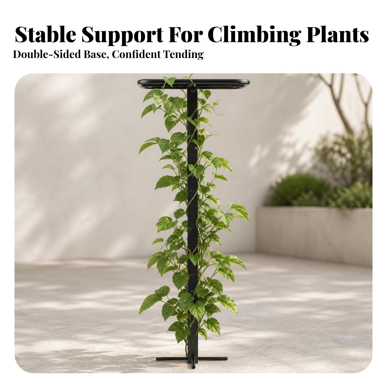 Tuteur pour Plantes Grimpantes