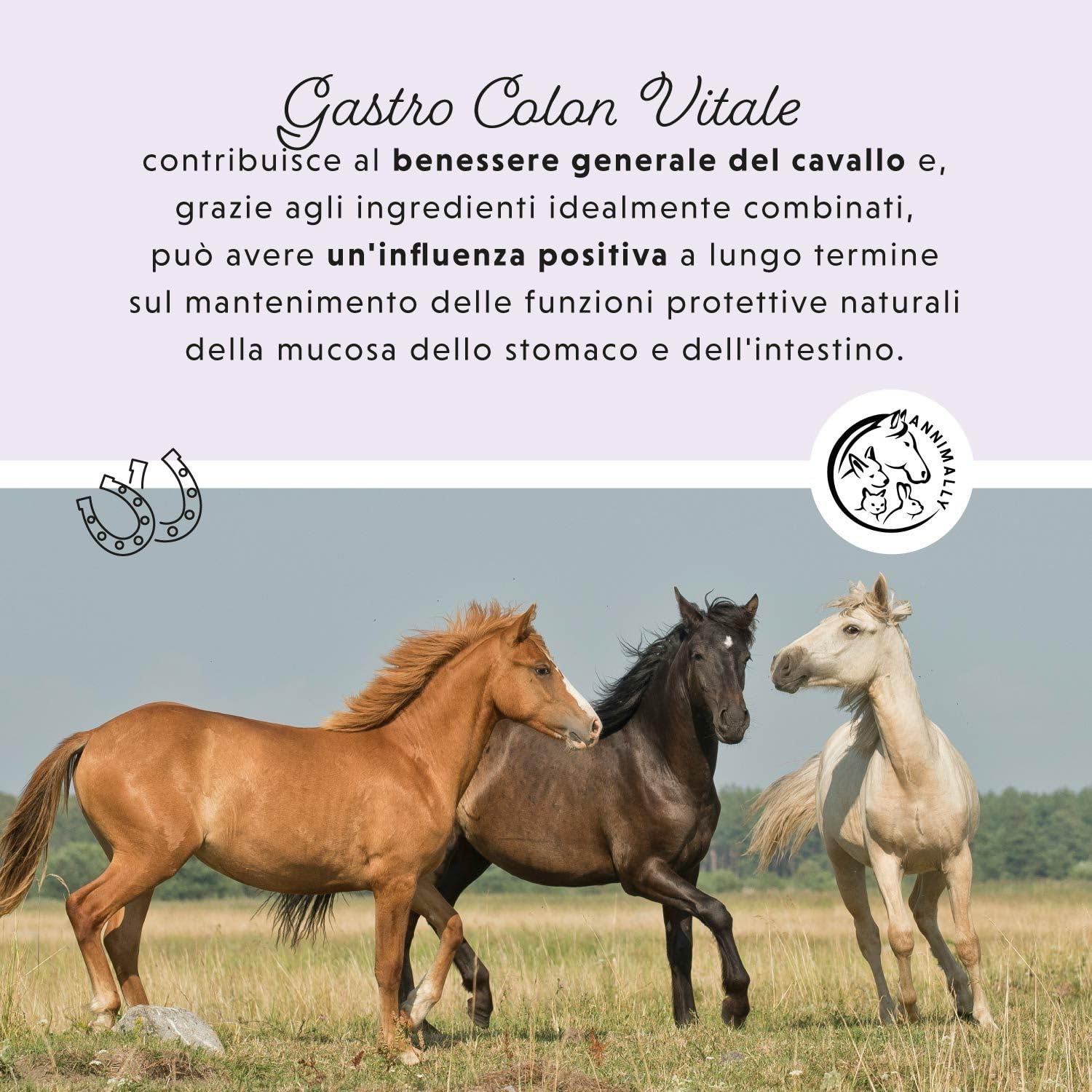 Liquido Gastro Intestinale per cavalli 1000 ml - Gastro Colon Vital per supportare la digestione, ad esempio in caso di diarrea - Erbe naturali per lo stomaco dei cavalli