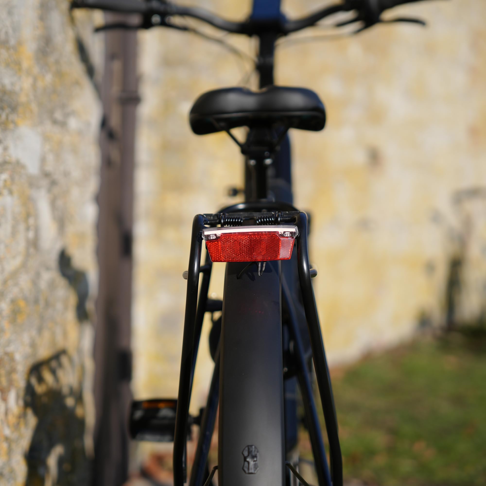Prophete GENIESSER, E-Bike 28" – AEG Mittelmotor 250W, 220 km Reichweite,7-Gang Nabenschaltung, Hydraulische Scheibenbremsen, TFT Display, Schwarz/Silbergrün