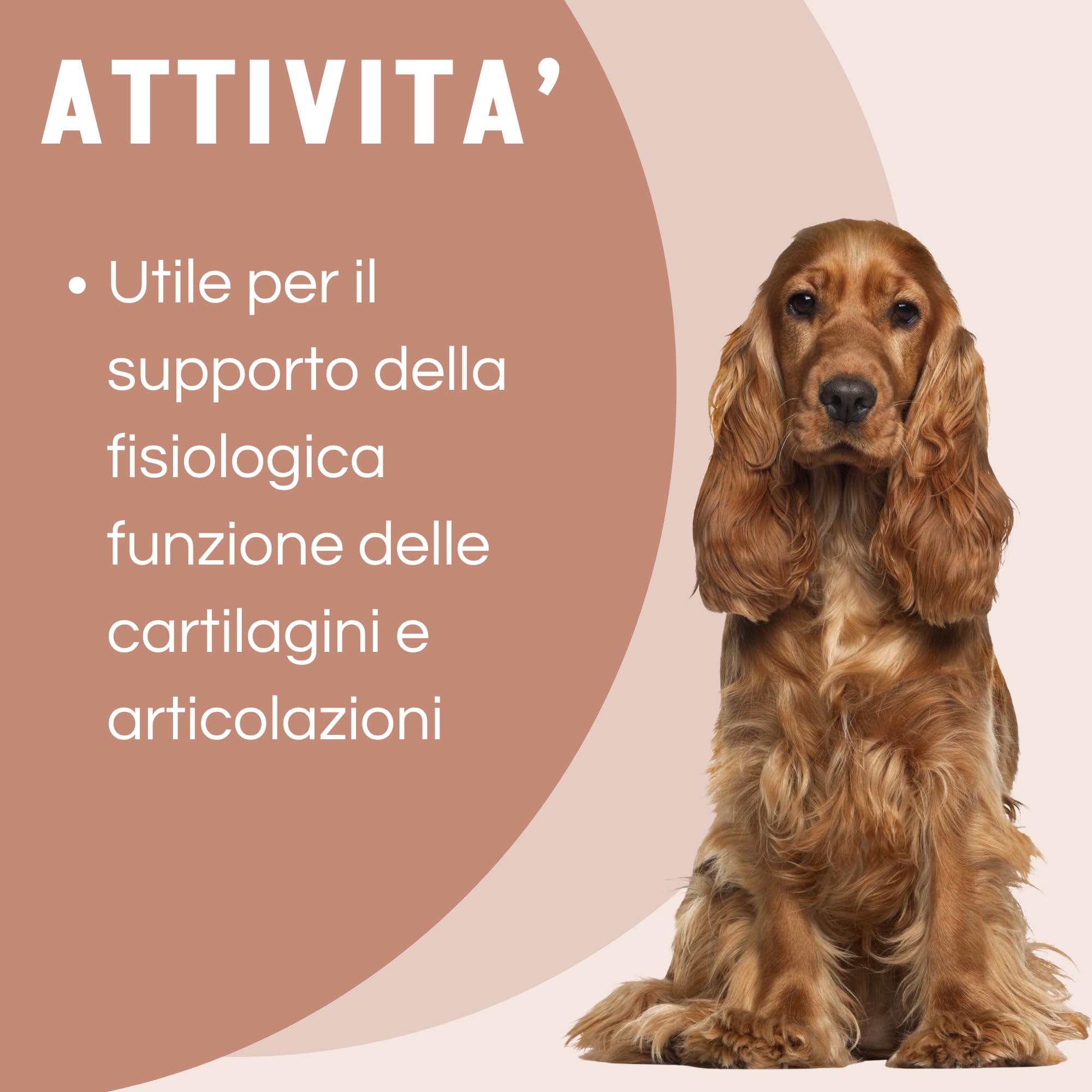 Motix Integratore Articolazioni Cane - Glucosamina, Condroitina e MSM - 100 Compresse 1000 mg - Adatto a Cani di Tutte le Taglie e Razze - Supporto per la Mobilità