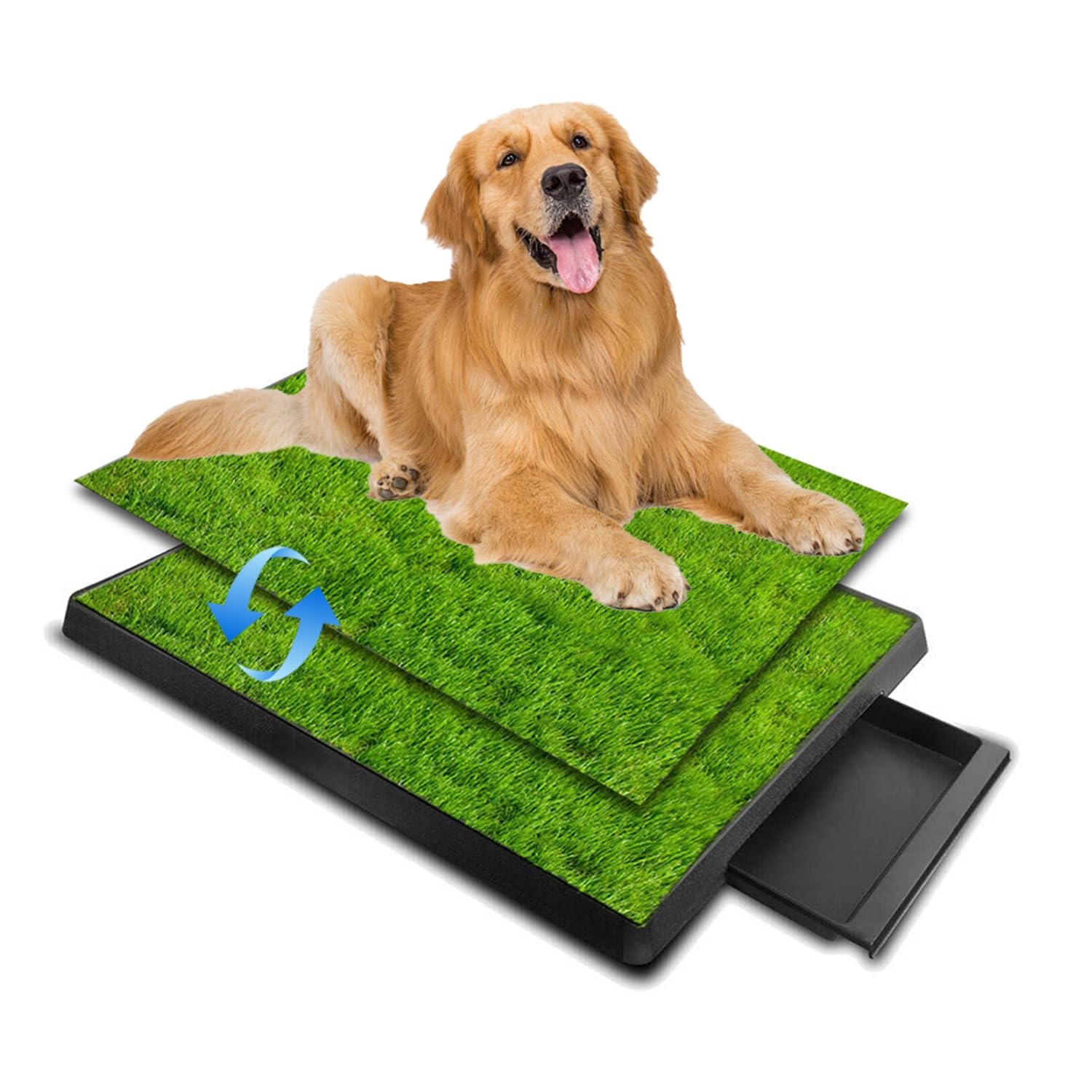Toilette pour Chien,Tapis d'apprentissage De La Propreté avec Séparateur d'Urine,Deux Tapis de Paille pour Chien avec Grand Plateau (64 x 51cm),avec Plateau Extractible,pour Le Dressage des Chiens