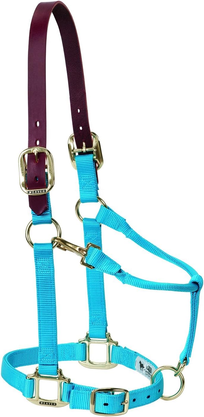 Breakaway Horse Halter, Supple Leather Crown, Adjustable Chin & Throat Snap Halters for Horses, Equine Tack