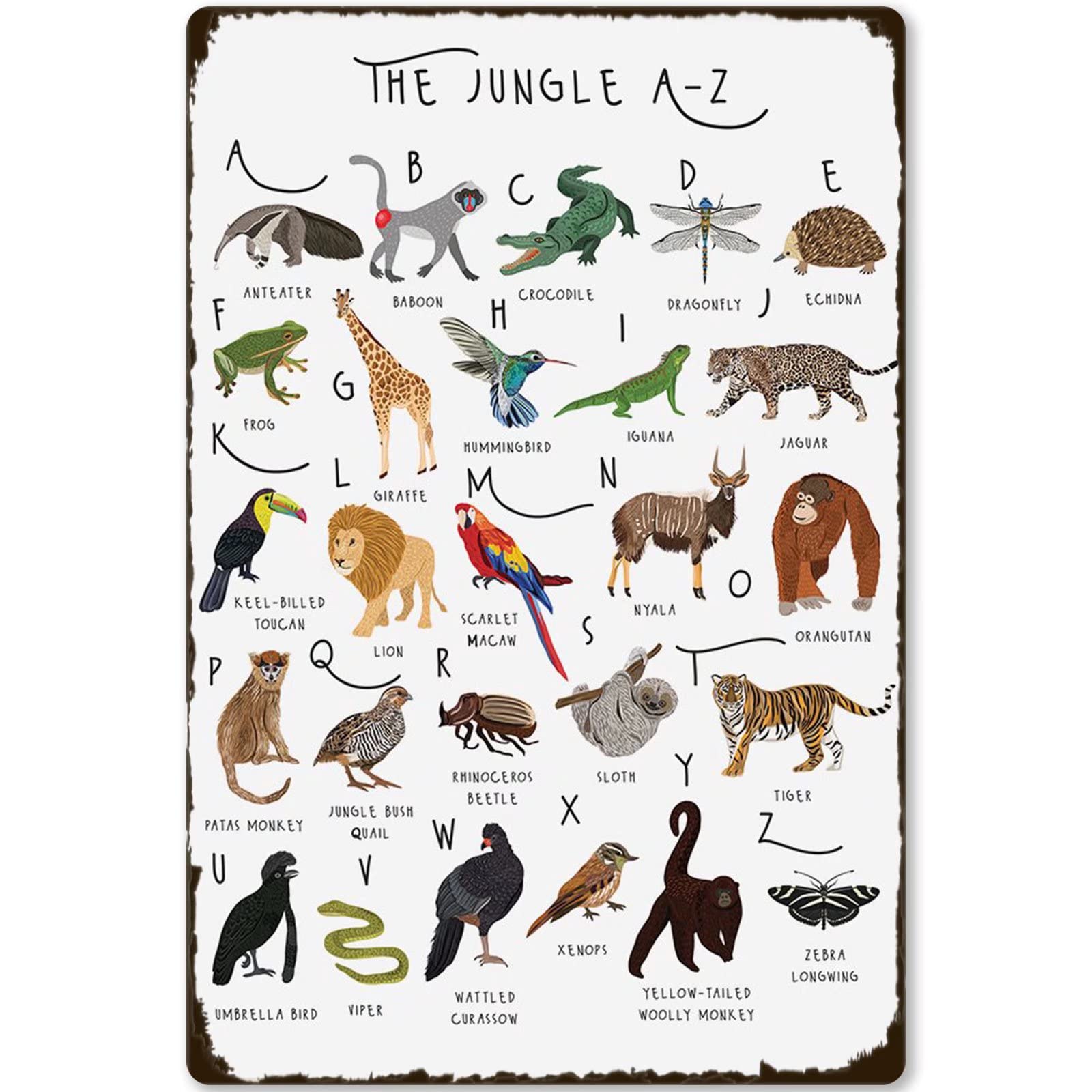 Amazon.com : The Jungle A- Z Wood Signs Jungle Animals Guide