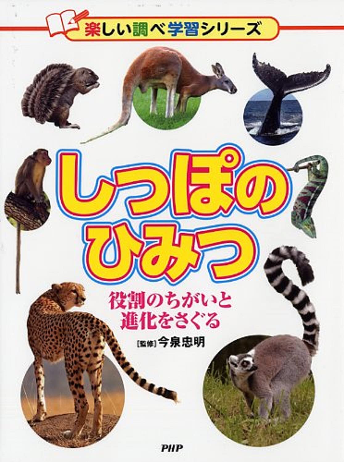 しっぽのひみつ 役割のちがいと進化をさぐる 楽しい調べ学習シリーズ 今泉 忠明 本 通販 Amazon