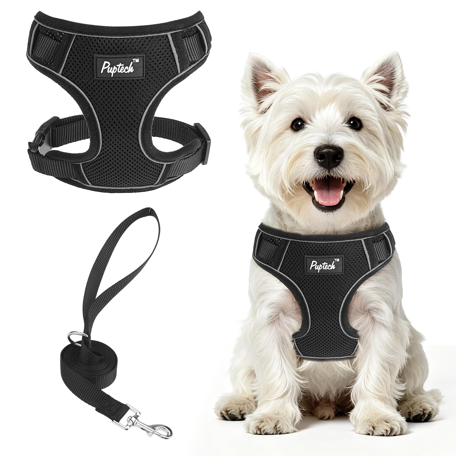 PUPTECK Dog Harness Small Dog and Lead Set Adjustable Pet Vest