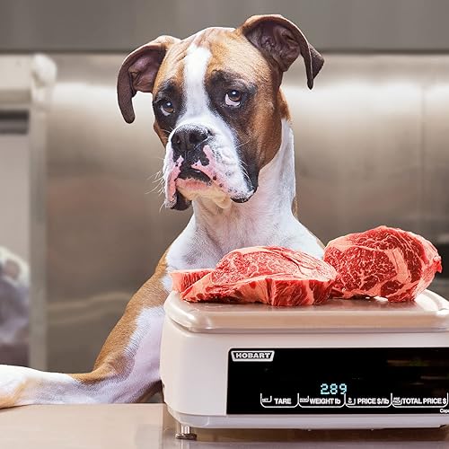 Miniatura 7 de Fromm Heartland Gold - Alimento seco prémium para perros adultos, receta de carne de res, 4 libras