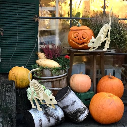 Miniatura 4 de Decoración de esqueletos de animales de gato y ratón, 3 piezas de esqueleto de animales de Halloween con articulaciones articulables para escena de