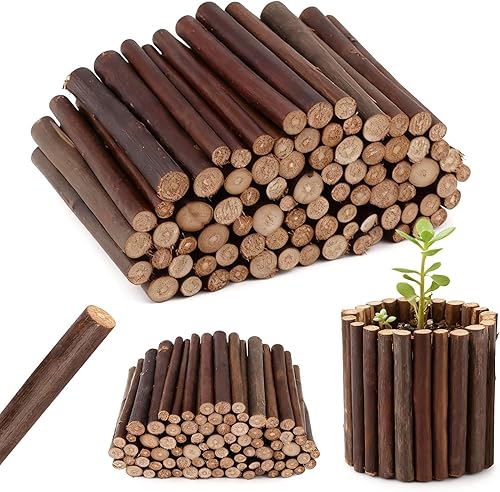 FSWCCK 100 palitos de manualidades, 4 pulgadas de largo, 0.3-0.5 pulgadas de diámetro, ramas de abedul naturales, mini troncos de madera para