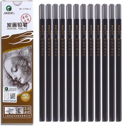 YYMIYU Lápiz de pintura de carbón Lápices de dibujo de carbón 12 piezas duro