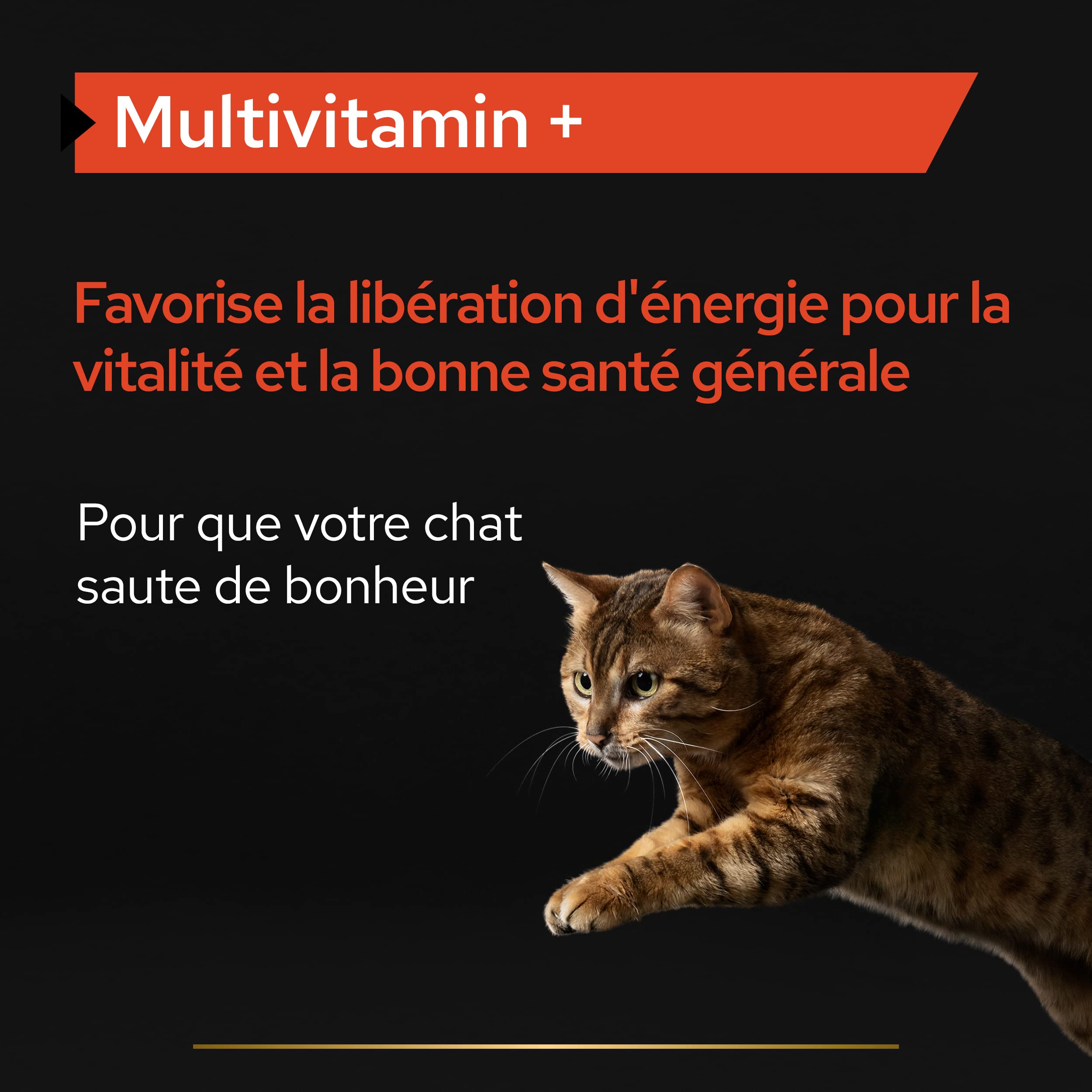 PURINA PRO PLAN | Multivitamins+ | Chat | Aliment complémentaire pour Chat Adulte | Favorise la libération d'énergie pour la vitalité et la bonne santé générale | Poudre | Boîte de 60g