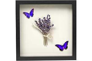 11x11 Shadow Box Frame Black Wooden Display Case with Soft Felt Back