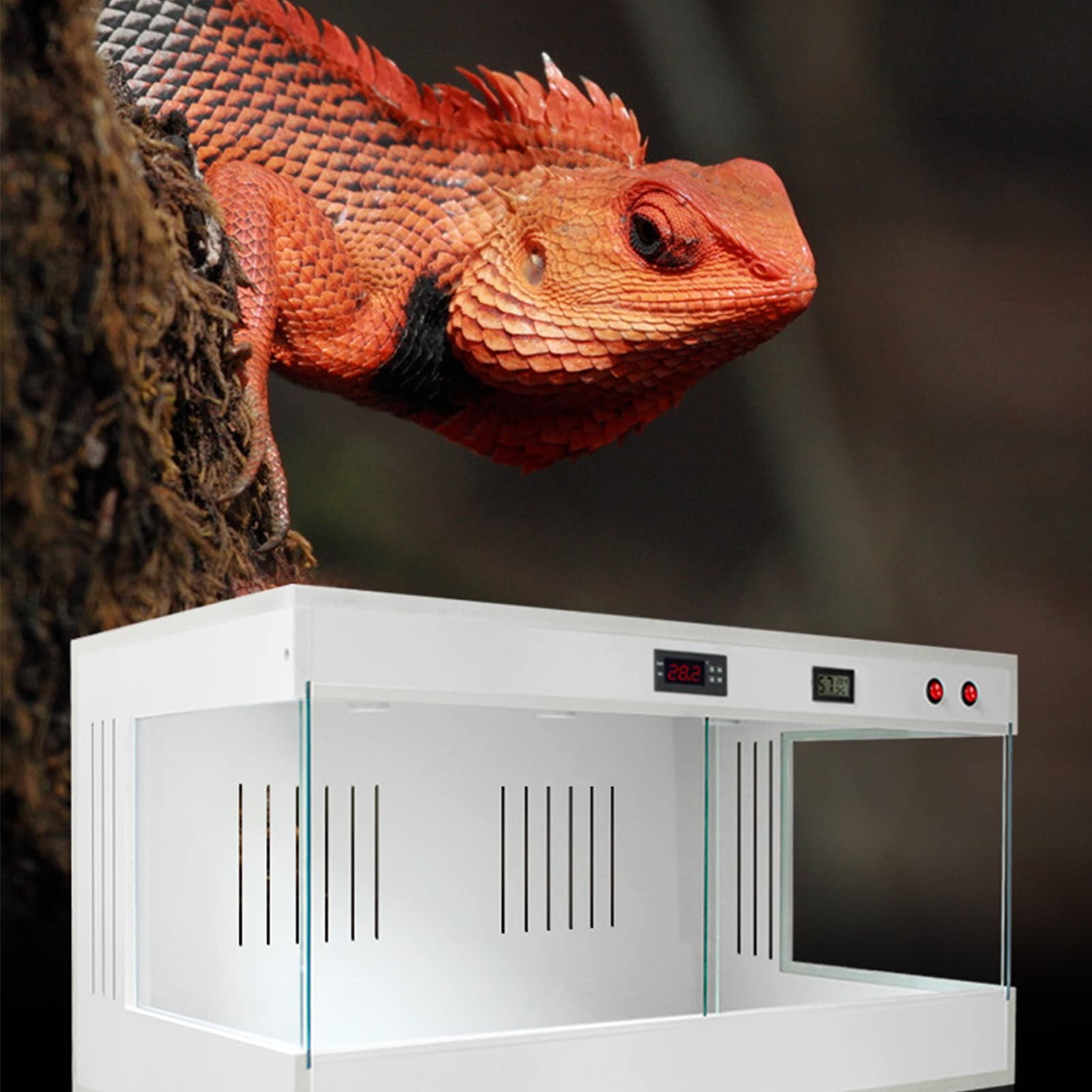 Terrario per rettili, Terrario for rettili in PVC scorrevole in vetro panoramico Habitat di allevamento for rettili anfibi(50x30x30cm)