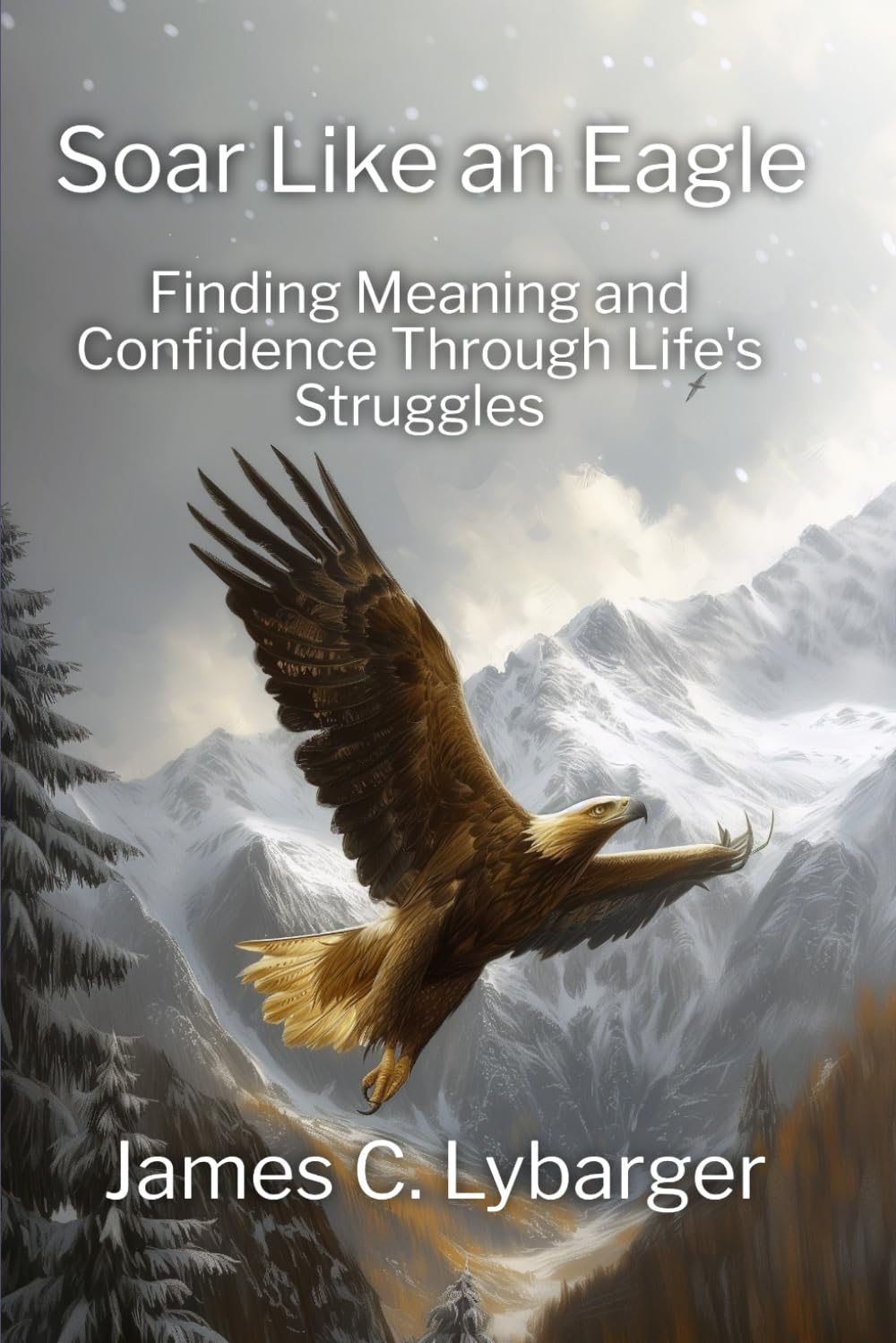 Soar Like an Eagle: Finding Meaning and Confidence Through Life's Struggles