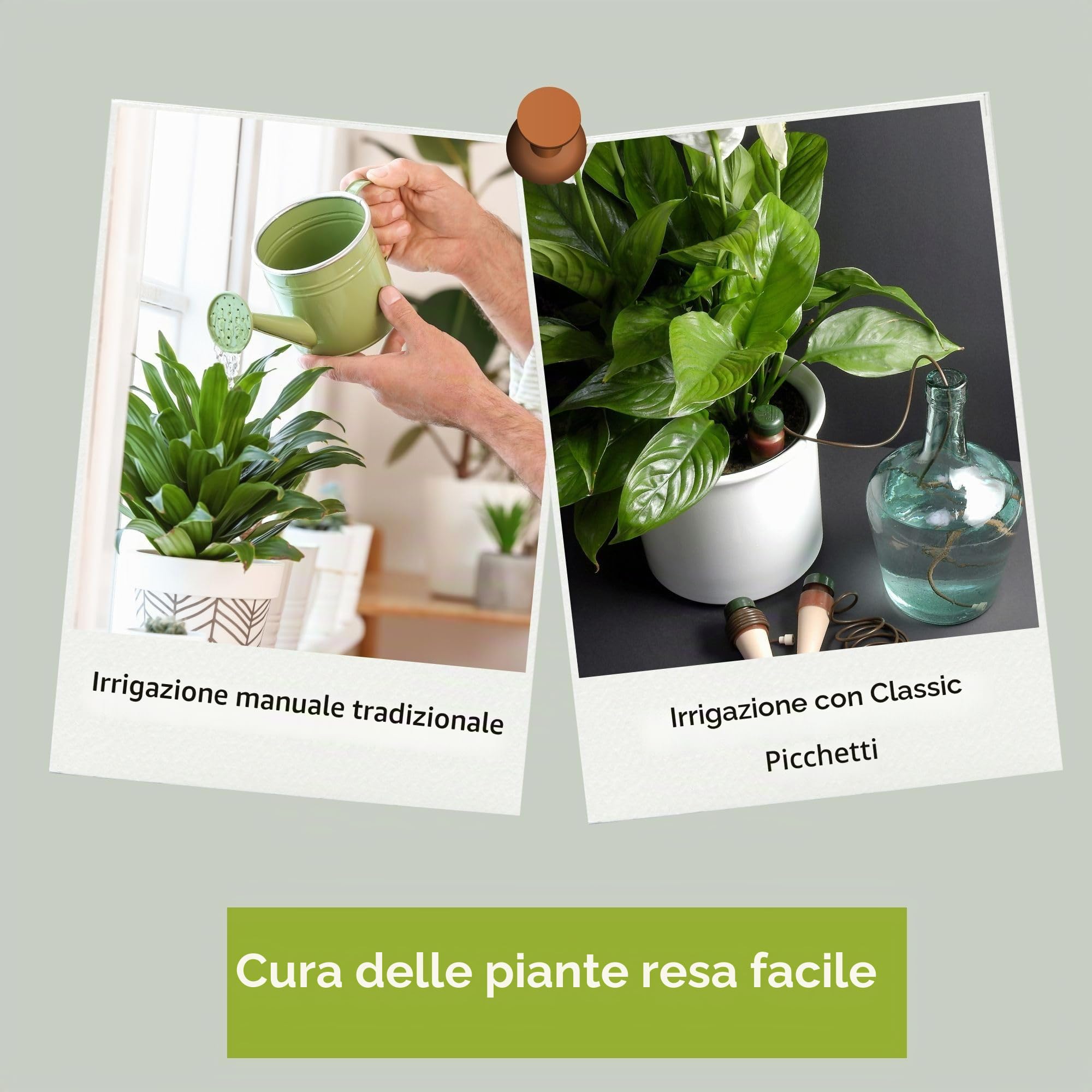Blumat Coni di irrigazione per piante da interno ed esterno, sistema di irrigazione a goccia automatico per piante in vaso, aiuto per la cura delle piante da interno (confezione da 12)