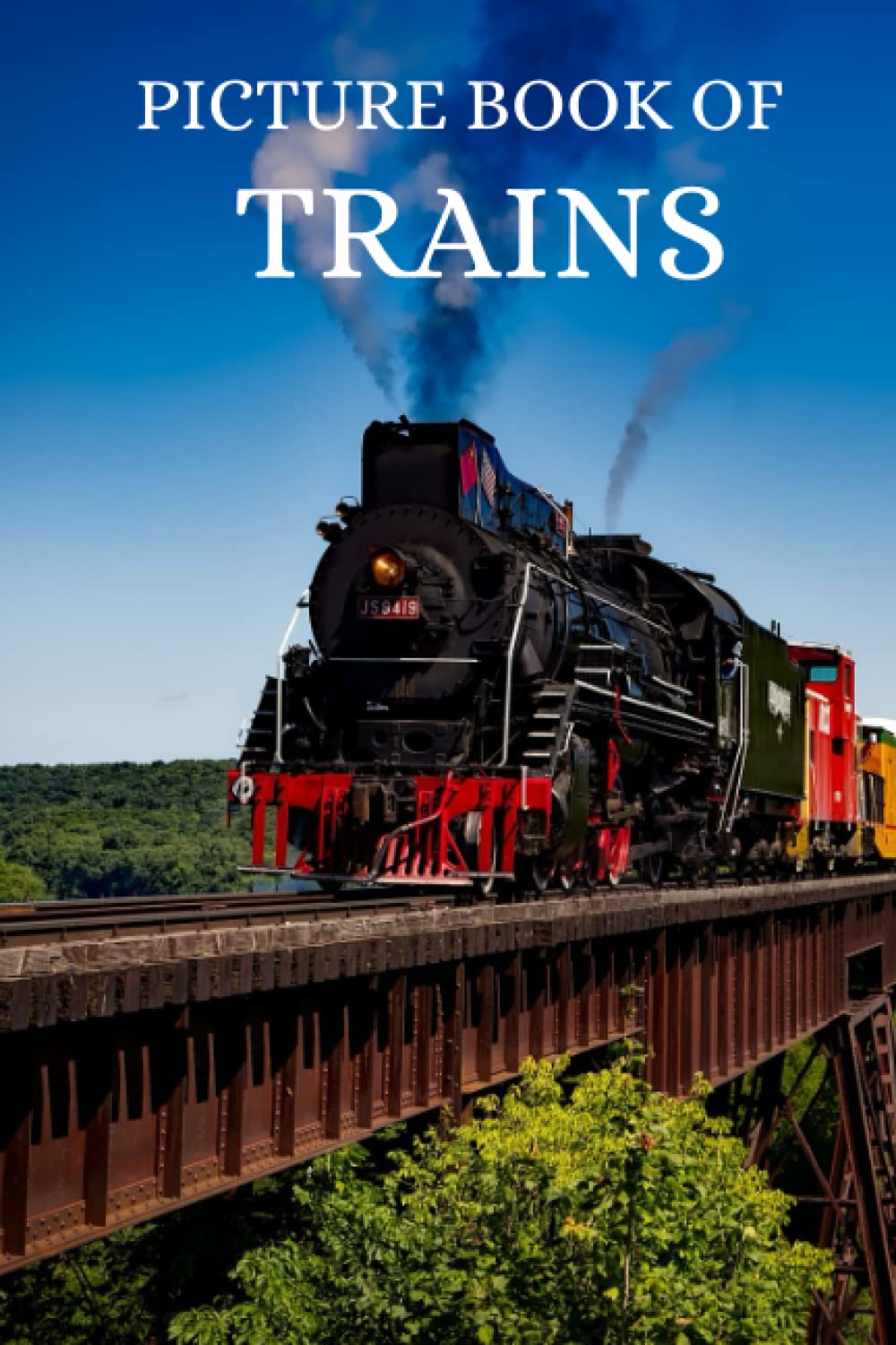 Picture Book of TRAINS (Picture Books for Seniors with Dementia, Alzheimer's or Memory Loss)