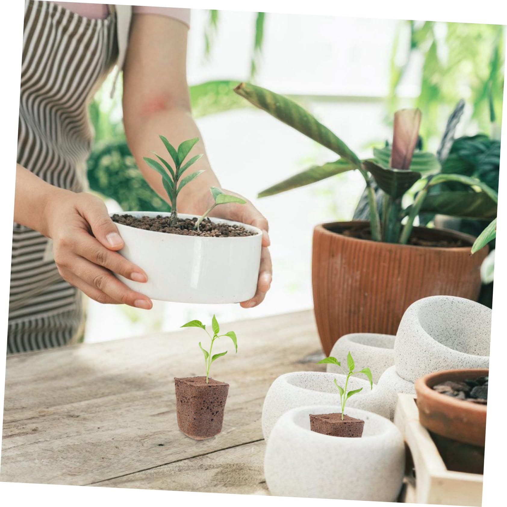 Abaodam 4 Ensembles Bloc De Germination Cubes De Culture Hydroponique Éponge pour Plantes Matériau Sécurisé pour Jardinage Intérieur Et Extérieur 40 Pièces * 4