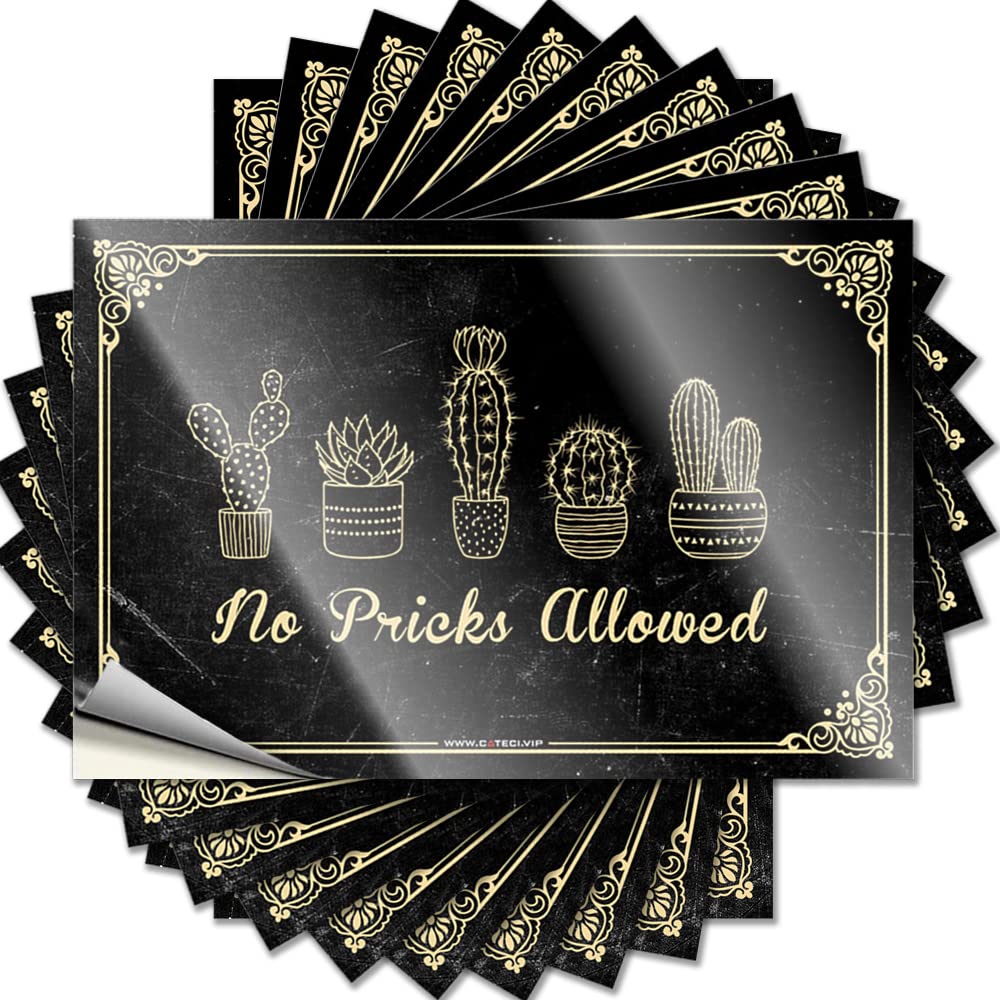 Teen Antimicrobial Lettering Sticker - No Pricks Allowed Bumper Waterproof Vinyl Sticker(8X12CM)
