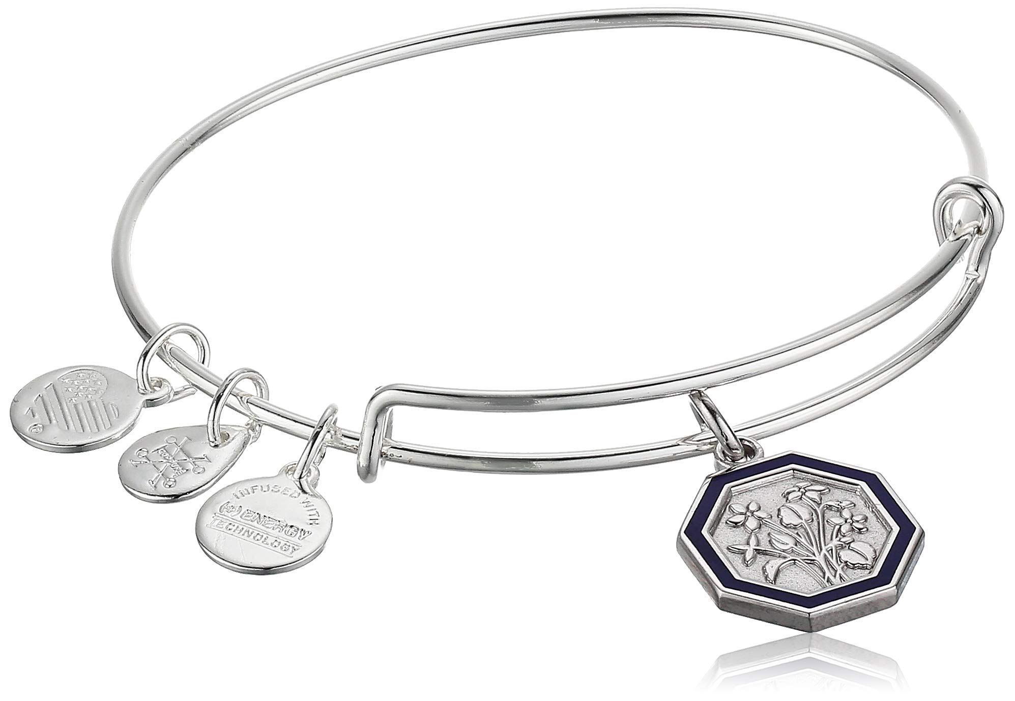Alex and Ani(Feb Bangle of The Month Violet Flower EWB, SS, Shiny Silver, One Size (A20EBFEB02SS)