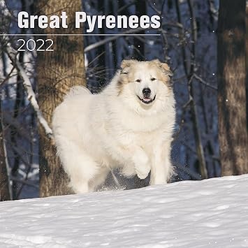 great pyrenees items