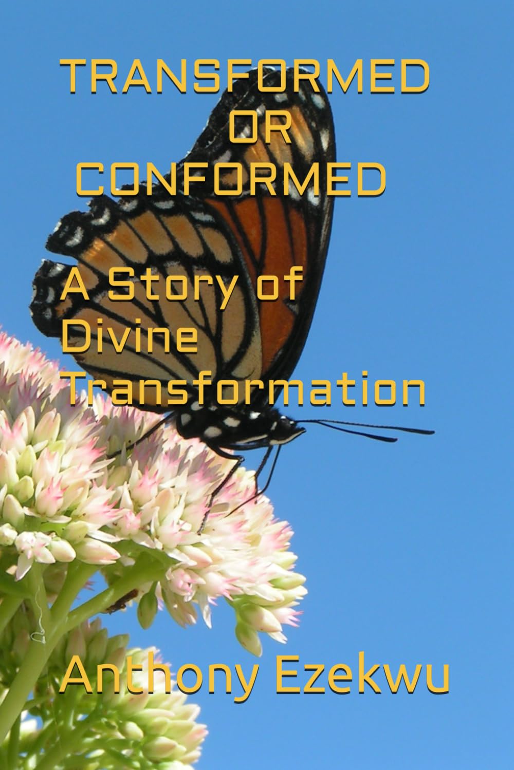 TRANSFORMED OR CONFORMED, A Story of Divine Transformation